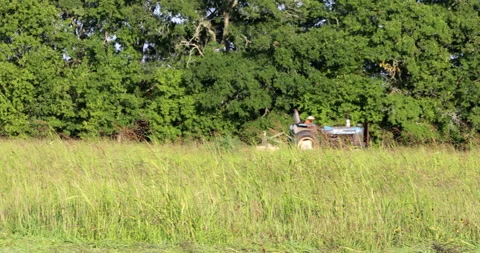 Farm Vídeos de archivo 130928116