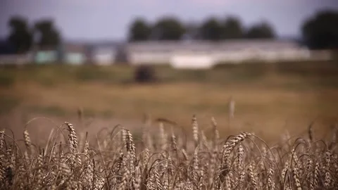 Farm Stockbeeldmateriaal 163977122