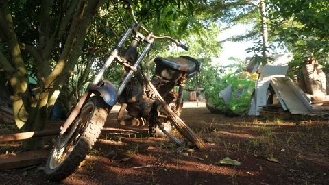 Farm Vídeos de archivo 205469874