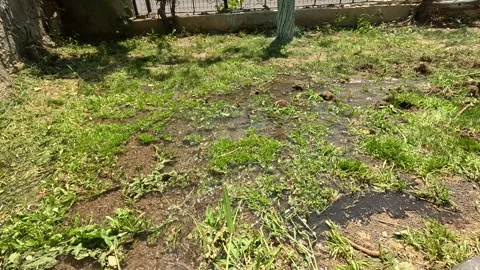 Farm Stock Footage 281159139