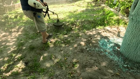 Farm Stock Footage 281159266