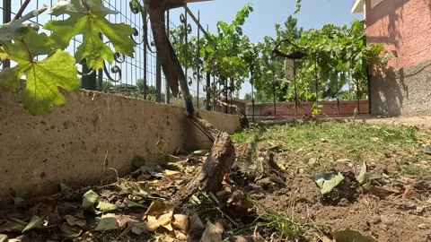 Farm Stock Footage 281159267