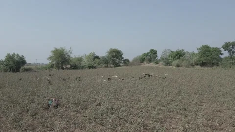 Farm Stock Footage 302803204