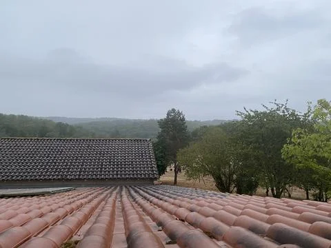 Farm with forest in the back yard Stock Photos