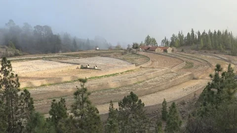 Farm in the forest Stock Footage 107277366