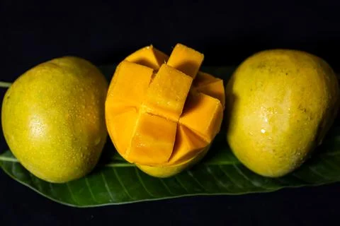 Farm fresh Alphonso mango fruit presentation featuring sliced mango and who.. Stock Photos