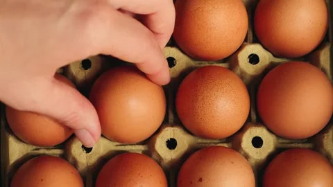Farm fresh eggs in a delicate paper tray. Healthy nutrition and organic food Stock Footage 321356321