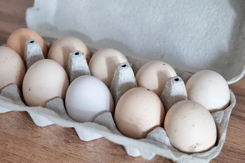 Farm Fresh Eggs in a Tray Stock Photos