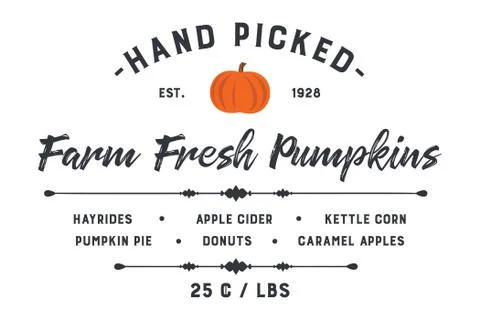 Farm Fresh Pumpkin Patch Design Stock Illustration