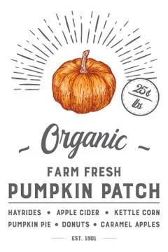 Farm Fresh Pumpkin Patch Design Stock Illustration