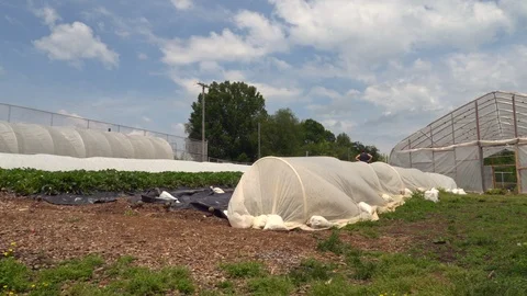 Farm Garden Clouds Time Lapse Stock Footage 101257735