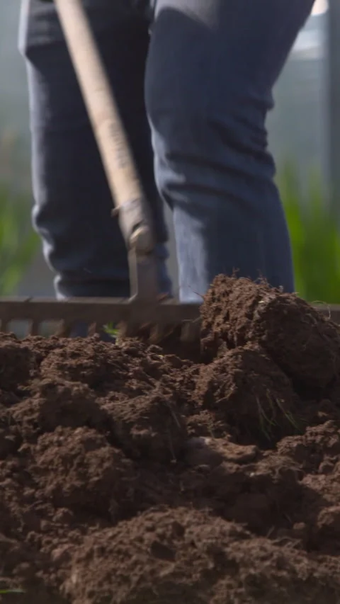 Farm garden worker using rake to move soil earth for planting Stock Footage 327245491