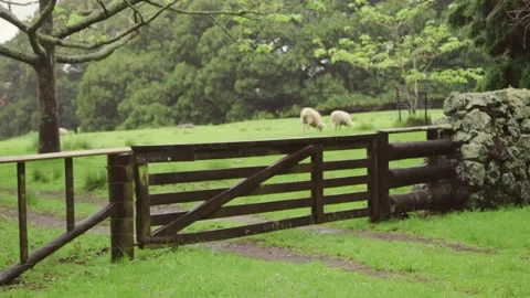 Farm gate in the countryside Stock-Footage 221025682