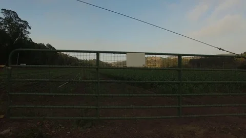 Farm Gate, Field Crop Rows &amp; Hills - Aerial Drone Stock Footage 71232540