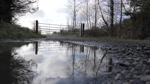 Farm gate 库存影片 154349755