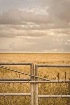 Farm gate Stock Photos