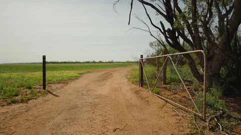 Farm gate walkthrough into wheat field slow motion Stock Footage 208951478