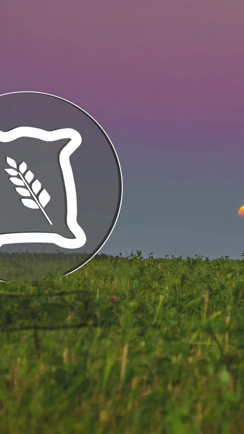 Farm grain symbol corn cereal field time-lapse half moon setting timelapse Stock Footage 303804060