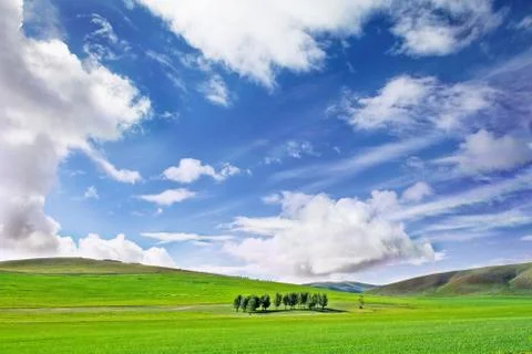 Farm grass plain under blue sky Stock Photos