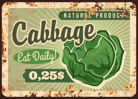 Farm green cabbage head rusty metal vector plate Ilustración de archivo