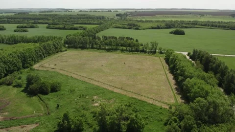A farm with green meadows and fields Stock Footage 274503316