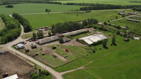 A farm with green meadows and fields Stock Footage 274503318