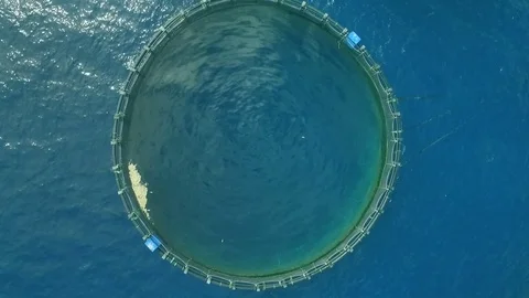 Farm for growing fish in the open ocean Stock Footage 74294969
