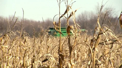 Farm Harvester Machine Stock Footage 93471816