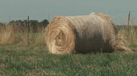 Farm hay bale Stock Footage 43441889