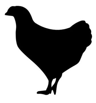 Farm Hen Stock Illustration