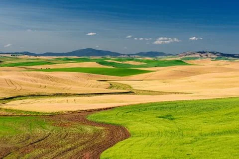 Farm hill Stock Photos