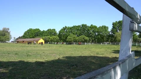 Farm with horses Stock Footage 301440070