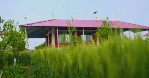 Farm House Video stock 196219645