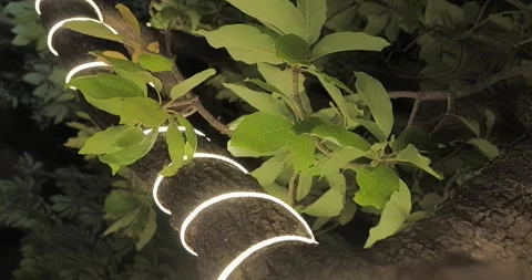 Farm House Stock Footage 241518982