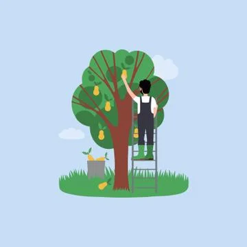 Farm Stock Illustration