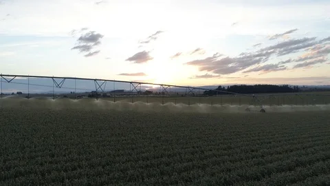 Farm Irrigation Stock Footage 119281989