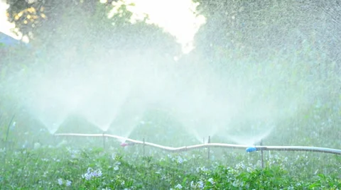 Farm Irrigation of potato Stock Footage 25480631