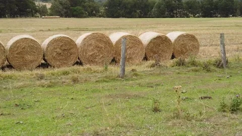 Farm Land Stock Footage 137224242
