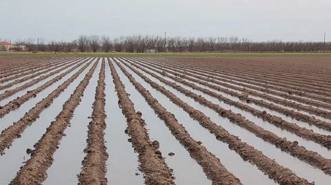 Farm land irrigation Stock Footage 40522183