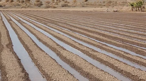 Farm land irrigation Stock Footage 40523984
