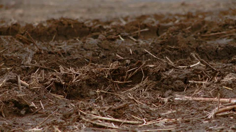 Farm land Mud Stock Footage 35592313