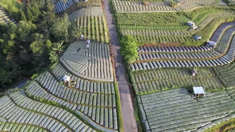 Farm Land Views Stock Footage 149856489