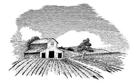 Farm Landscape 2 Stock Illustration