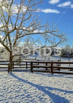 Farm Landscape Early Morning Snow Stock Photos