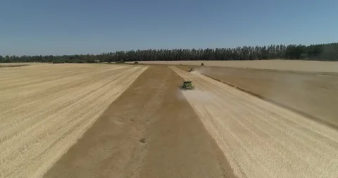Farm landscape Stock Footage 124855578
