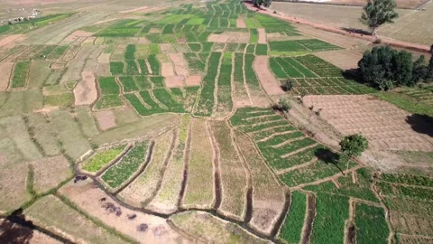 Farm Landscape Video stock 166801730