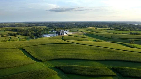Farm Landscape, Midwestern Fields of Wheat, Aerial Drone Shot Видео 115041855
