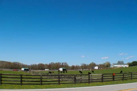 Farm Landscape Stock Photos