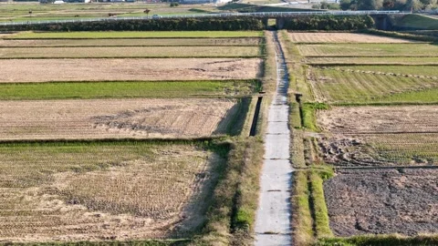 Farm Lane Lined With Grass Through Brown Cut Fields Stock Footage 347930307