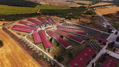 Farm layout with buildings and fields in rural setting Stock Footage 340382716